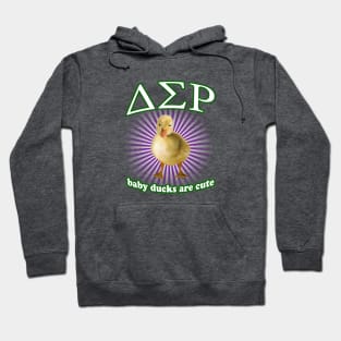 Delta Sigma Rho Hoodie